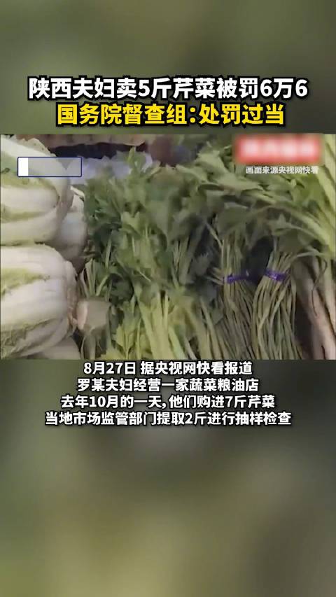 「陕西夫妇卖5斤芹菜被罚6万6,国务院督查组:处罚过当」8月27日,据央视网快看报道,罗某
