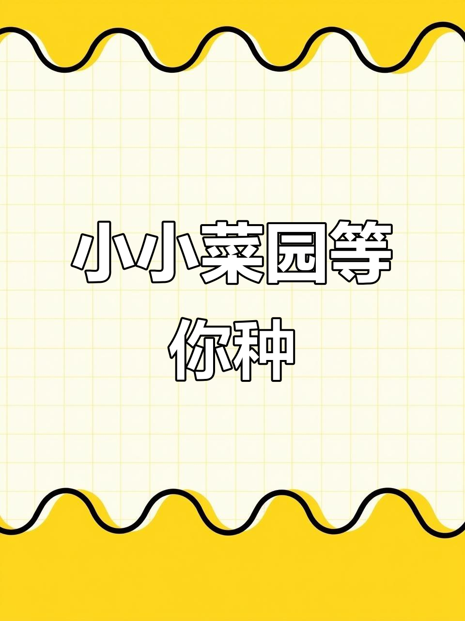私家菜园等你来认领,亲手种植收获满满