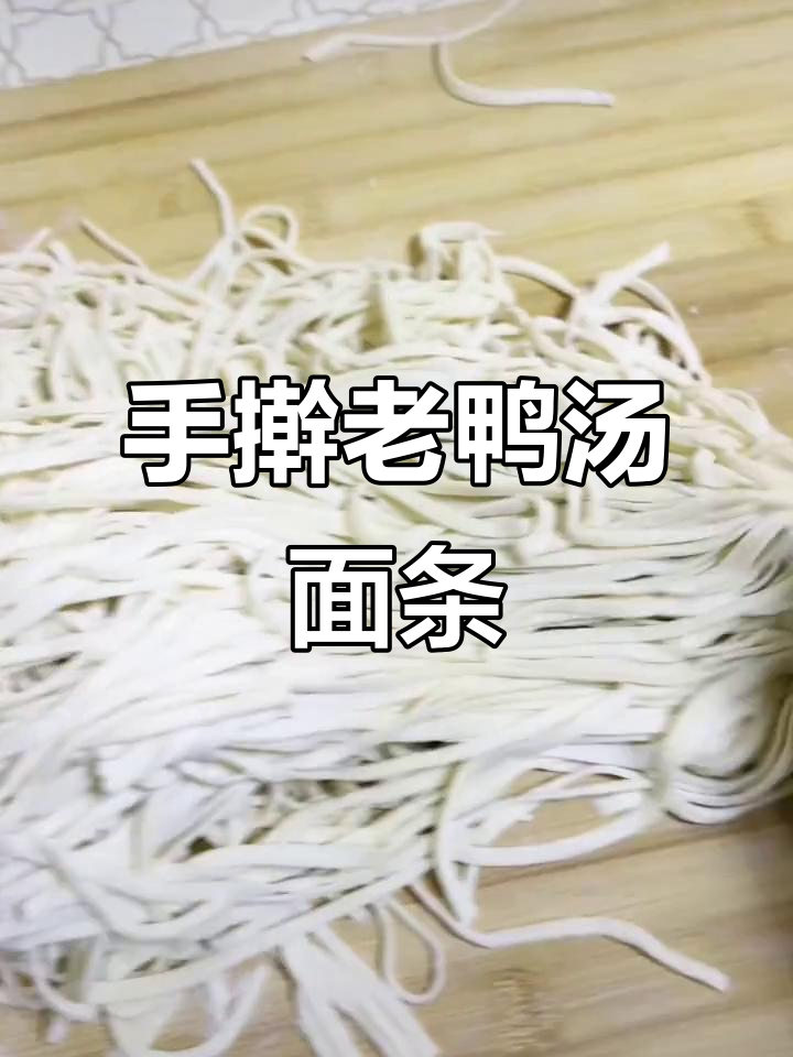 老鸭汤配手擀面,味道绝了!