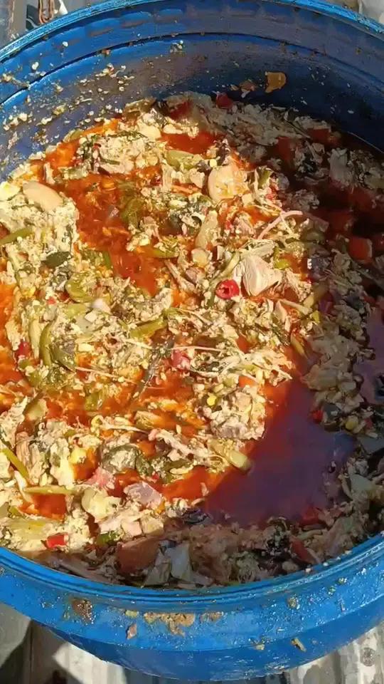 剩饭剩菜又称作潲水或者泔水,大部分来源于饭店和食堂,加工后可以饲喂猪牛羊鸡鸭鹅等各类畜禽,