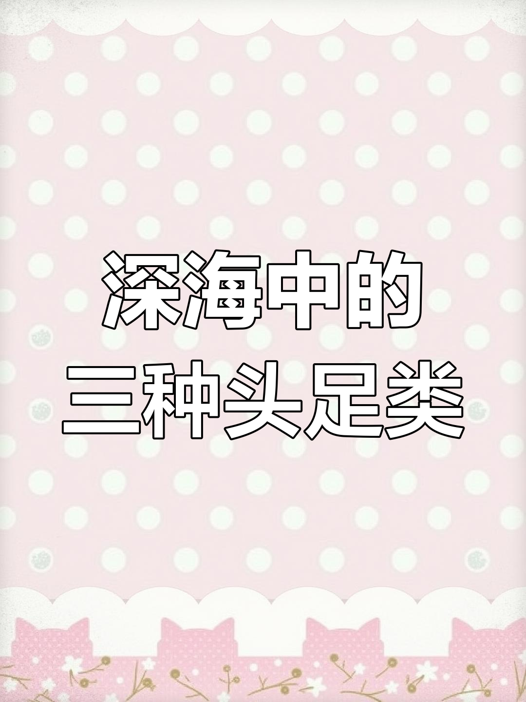 墨鱼与章鱼的奇妙差异