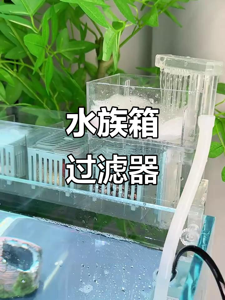 安装简单,高效过滤,亚克力材质让水族箱更清澈!