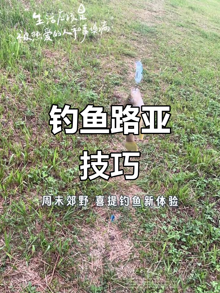 路亚钓鲈鱼技巧大揭秘,野钓路亚必备攻略