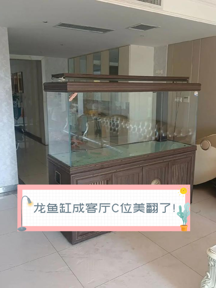 龙鱼缸成客厅C位,美翻了!