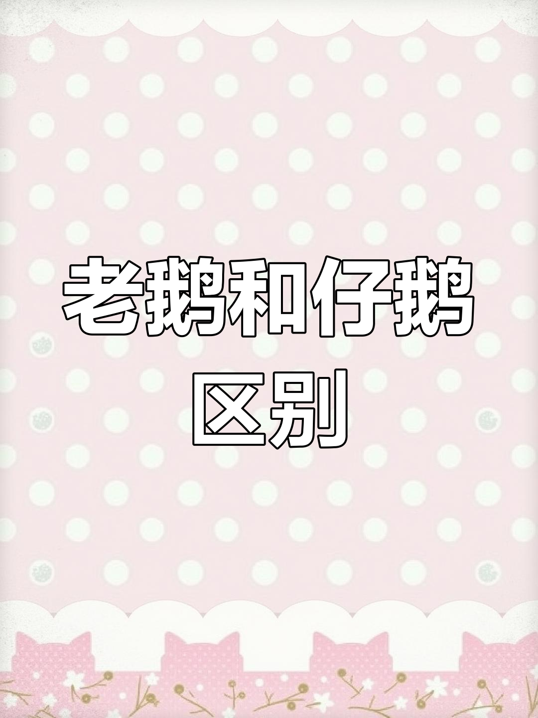 老鹅与子鹅的区别,你了解吗?
