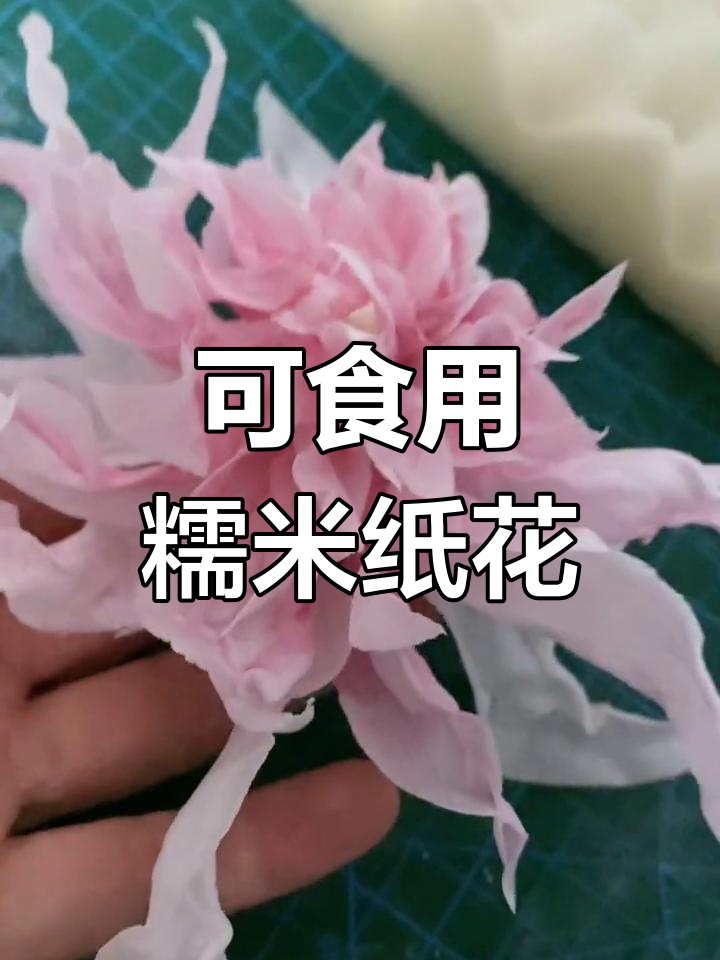 糯米纸花手工制作教程