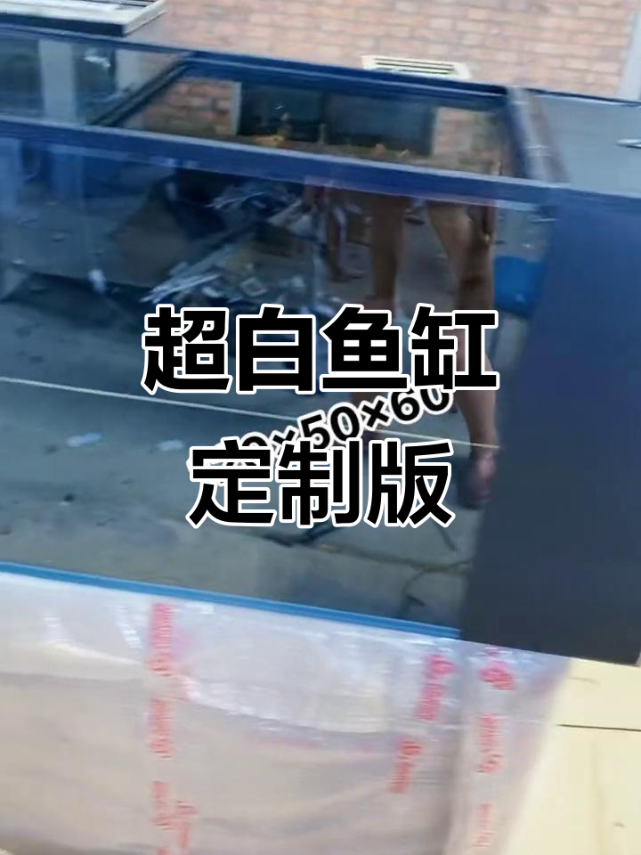 定制超白鱼缸,侧滤设计更高效