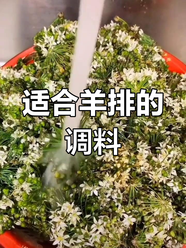 烤羊排必备蘸料,手抓羊肉搭配