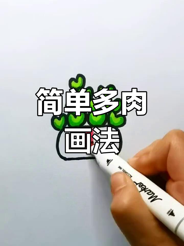 多肉植物简笔画教程,轻松学会