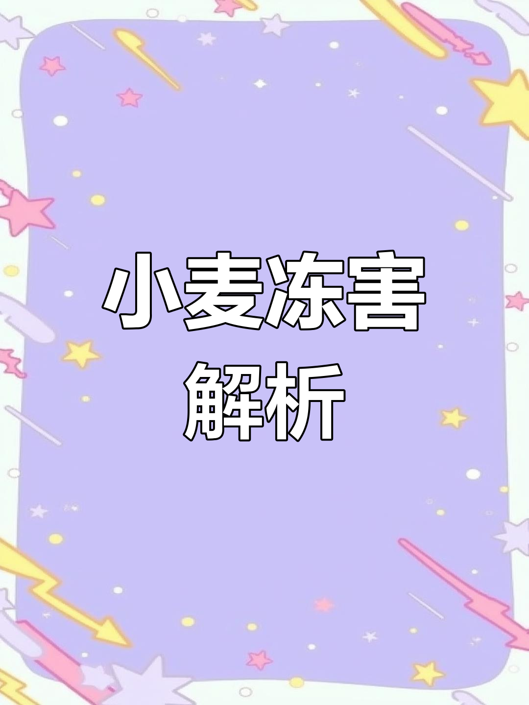 小麦冻害初期,叶片干枯;后期心叶受影响,症状逐渐明显
