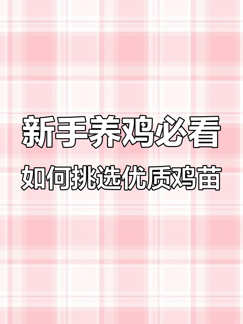 选鸡苗、育雏技巧全解析,助力新手养鸡成功