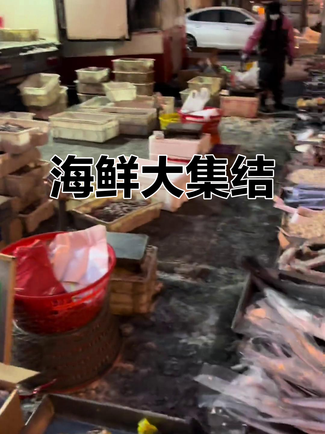 42种海鲜任选,包括各种鱼类、贝类,应有尽有!