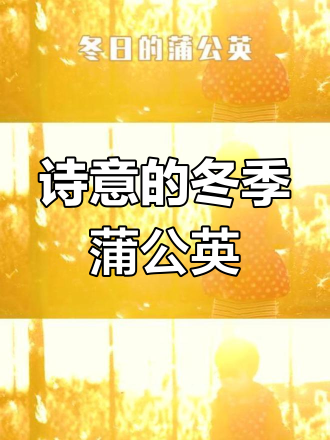 冬日蒲公英,轻盈飘舞的诗意画面