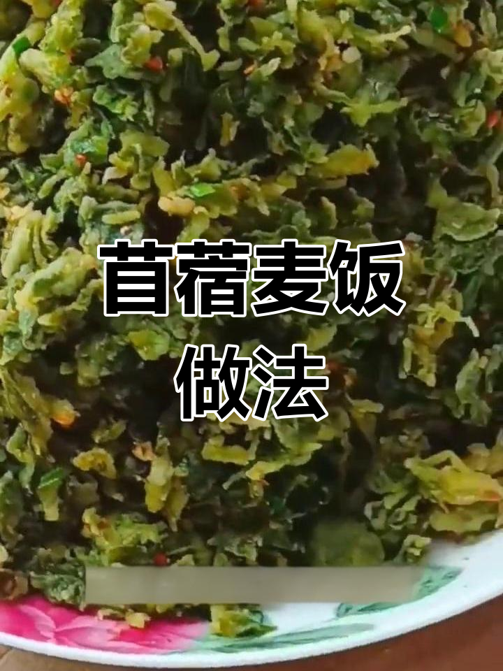 春天必吃苜蓿麦饭,简单又营养