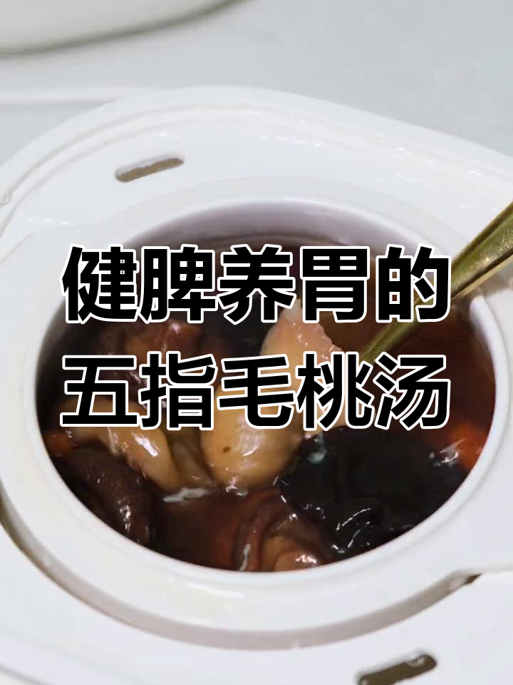 五指毛桃排骨汤,夏季祛湿补脾的完美选择