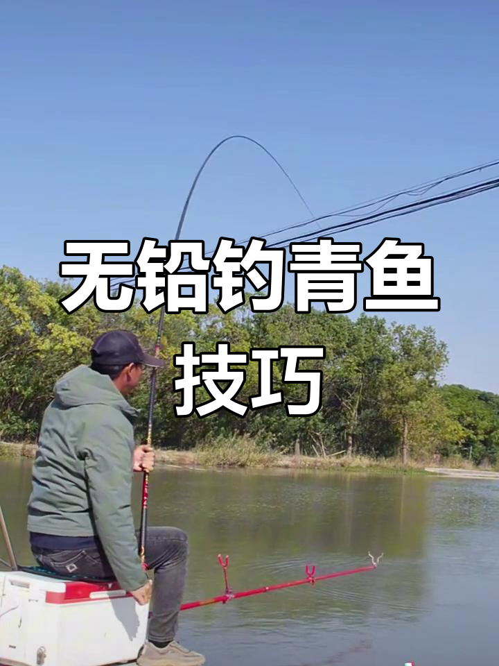 青鱼钓法揭秘:如何避免脱竿跑鱼,掌握无铅起竿技巧