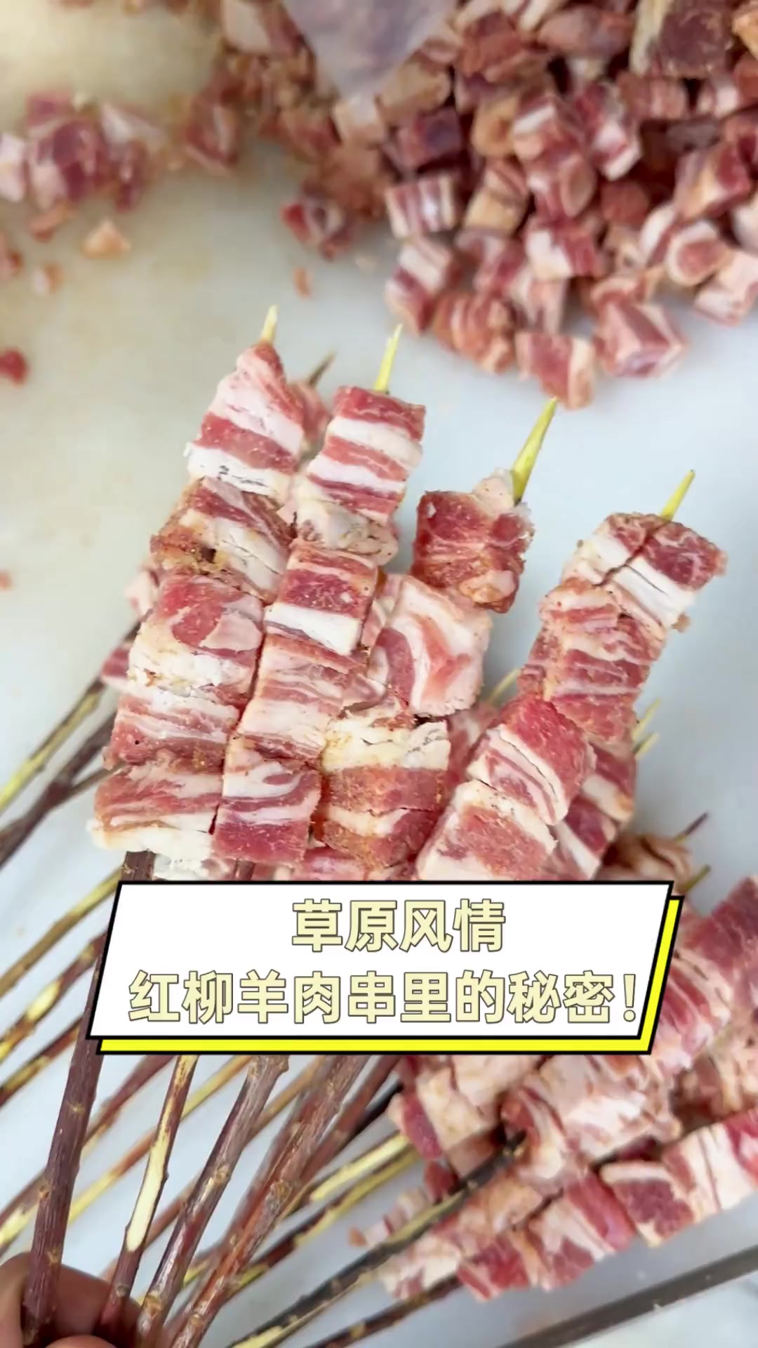 草原风情,红柳羊肉串里的秘密!