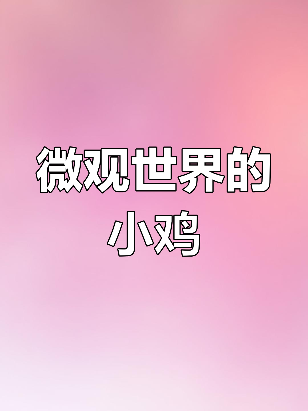 小鸡孵化全过程揭秘