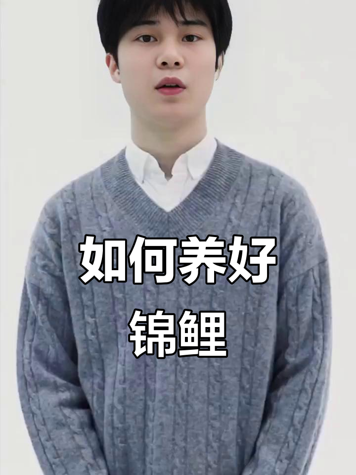 锦鲤鱼养殖技巧：选对饲料、水质管理，轻松养好