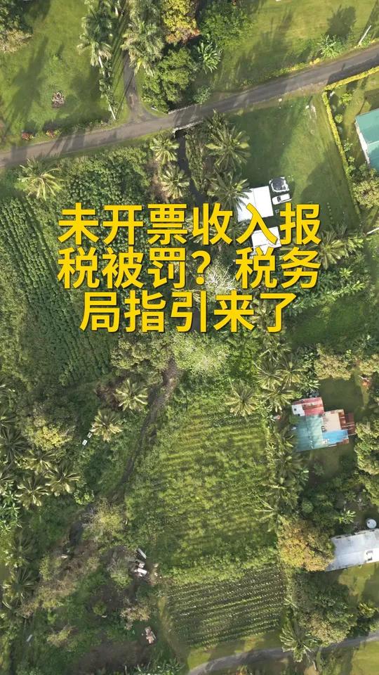 未开票收入报税被罚？税务局指引来了 未开票收入需合规申报，隐匿收入可能面临处罚。某培训公司