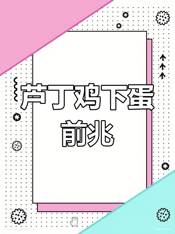 芦丁鸡产蛋前的四大征兆,如何应对难产问题