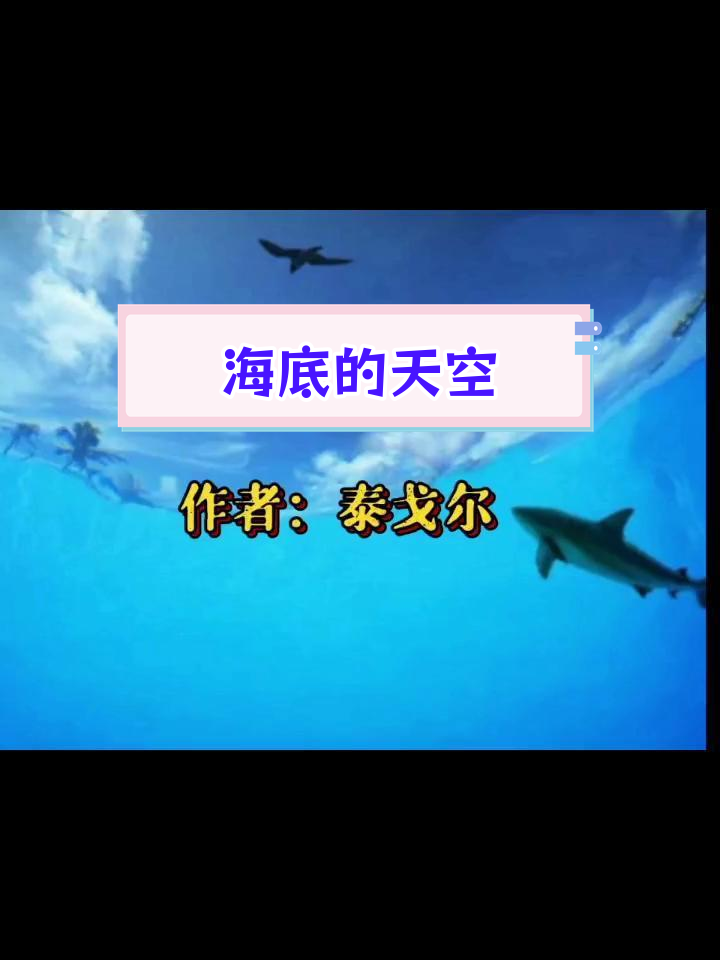 鱼与飞鸟的奇缘