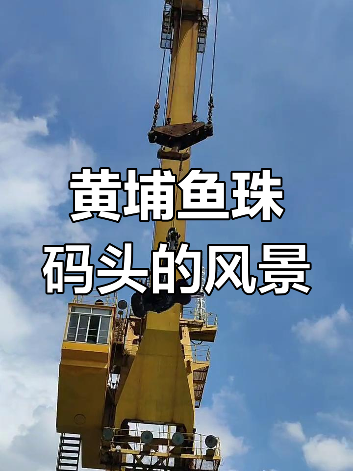 广州黄埔鱼珠码头美景,尽享海风与自然风光