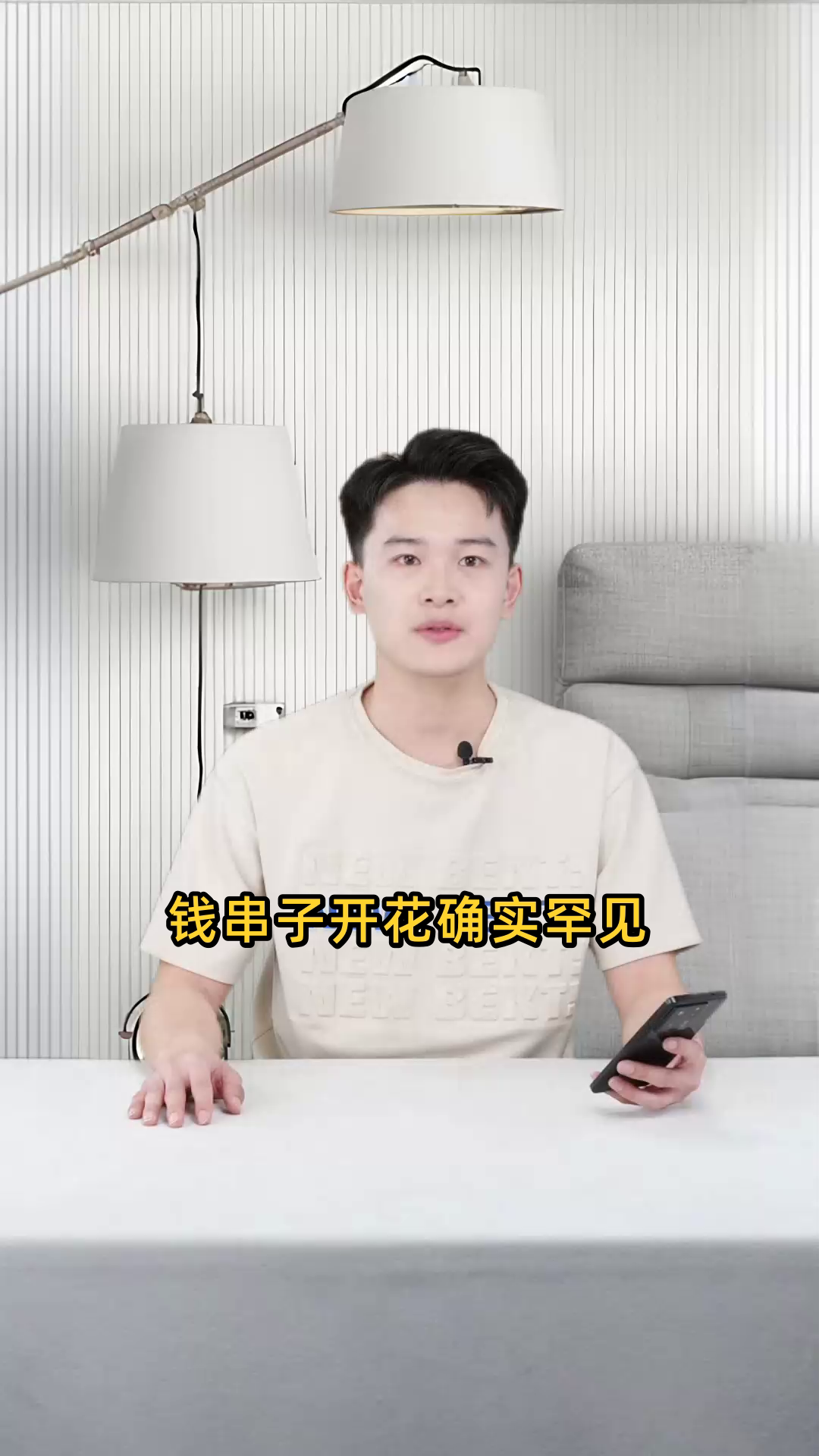钱串子罕见开花,每次绽放必预示着将有重大事件发生