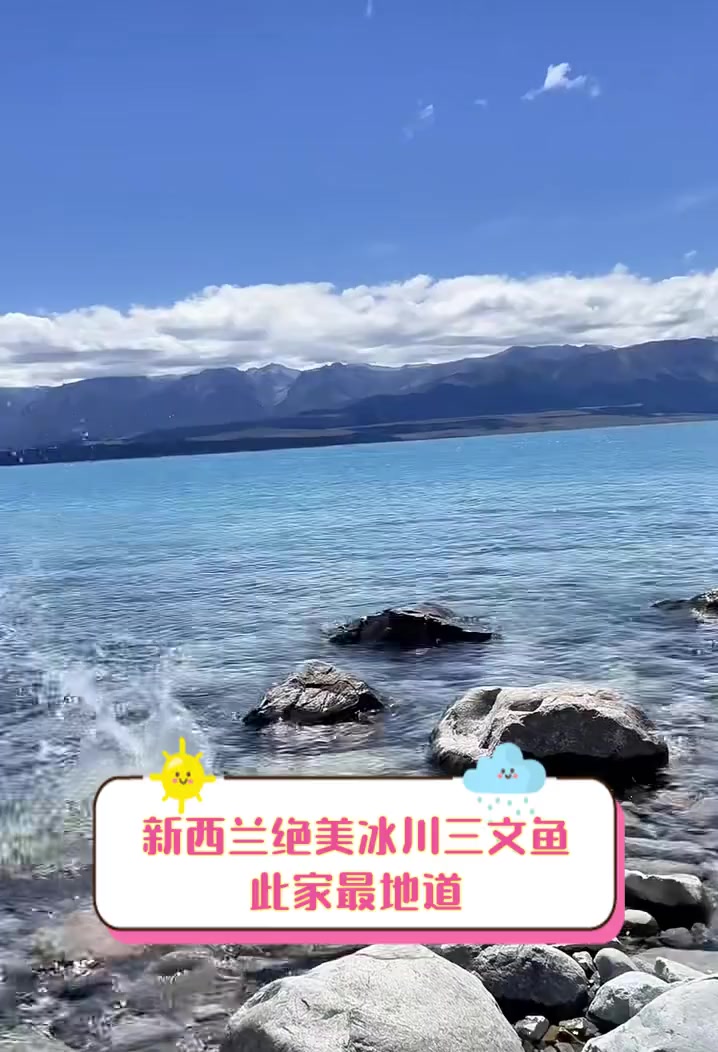 新西兰绝美冰川三文鱼,此家最地道