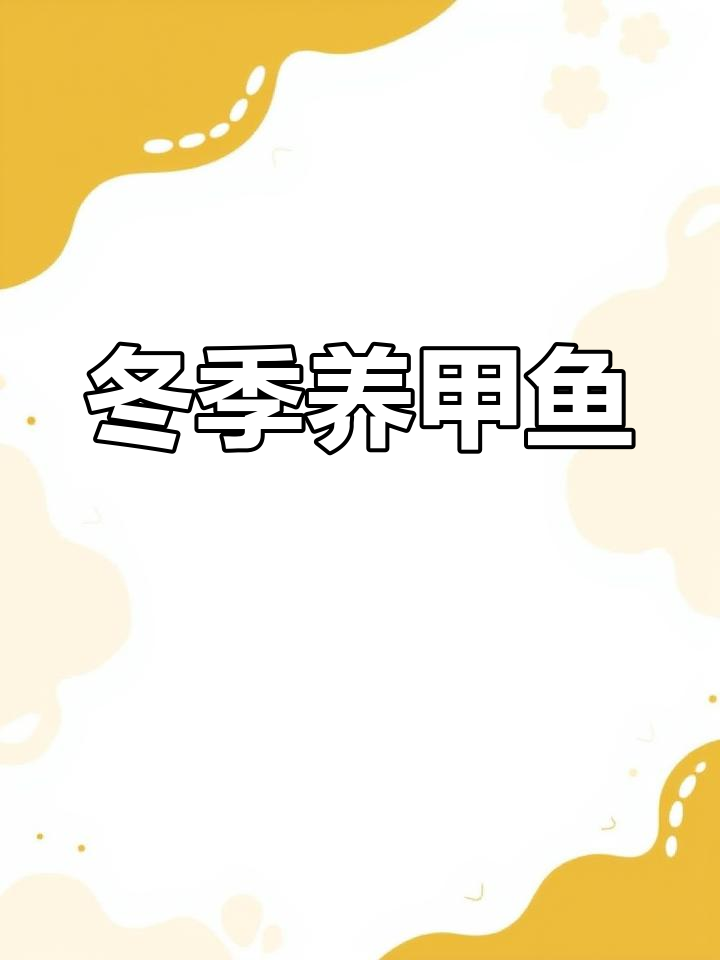 外塘甲鱼冬季也能生长,适合家庭养殖
