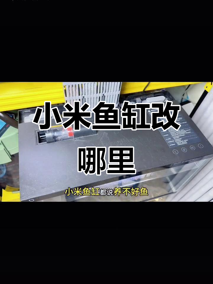 小米鱼缸改造:如何避免浪费培菌空间,物理滤盒升级技巧