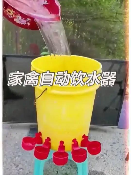 新款家禽自动饮水器鸡鸭鹅鸽子水满自停小鸡饮水碗自动喝水装置