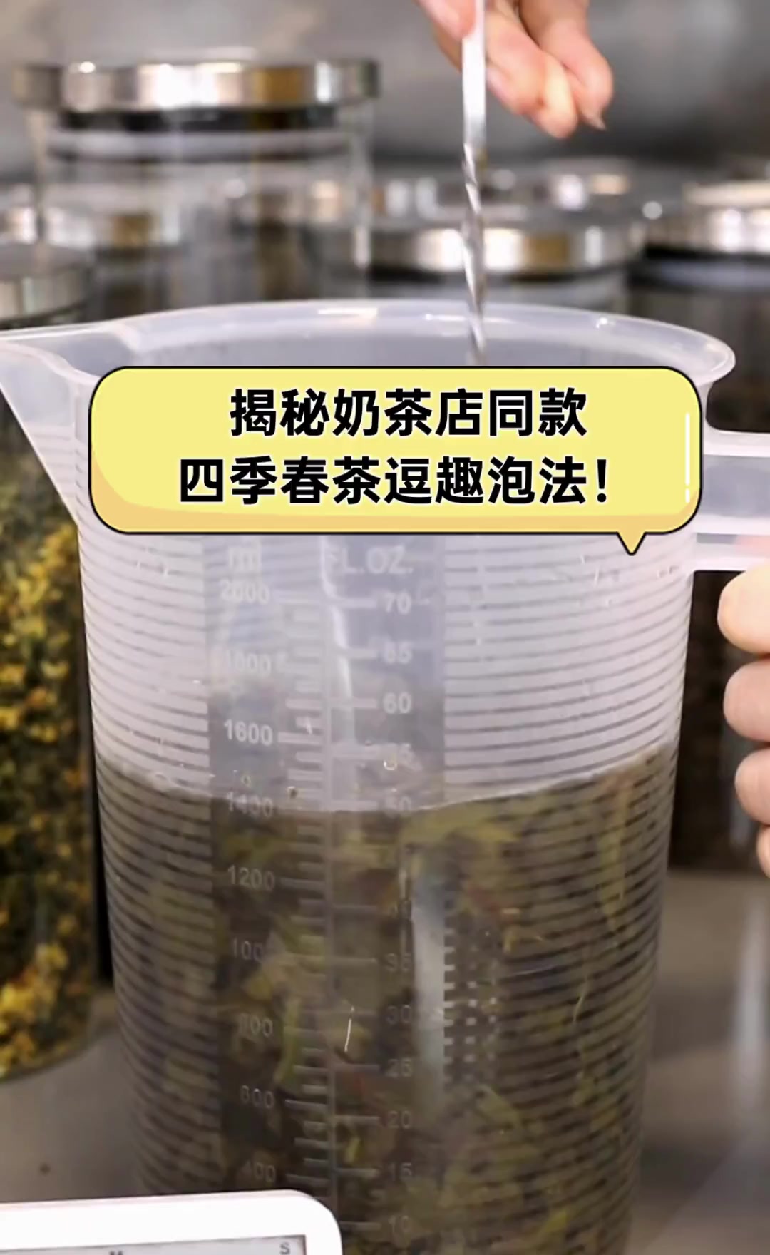 揭秘奶茶店同款,四季春茶逗趣泡法!