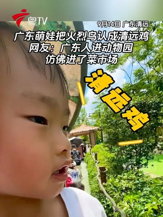 广东萌娃把火烈鸟认成清远鸡,网友:广东人进动物园,仿佛进了菜市场