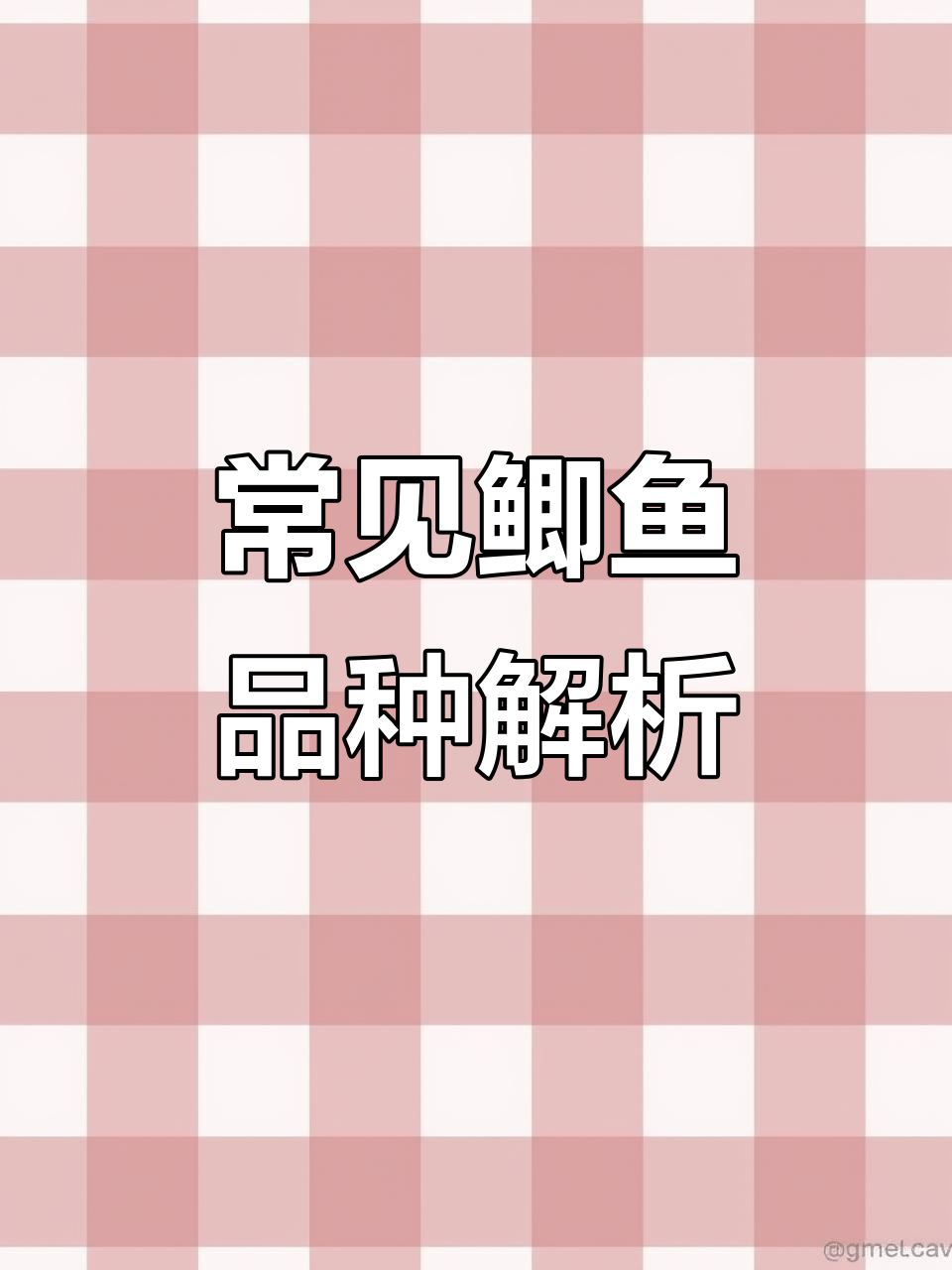 鲫鱼品种大揭秘：三角鲫、黑鲫、白鲫，哪种最美味？