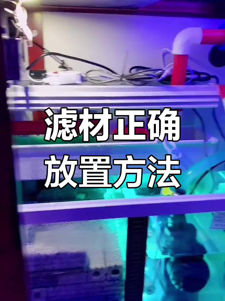 鱼缸滤材摆放技巧,提升过滤效果