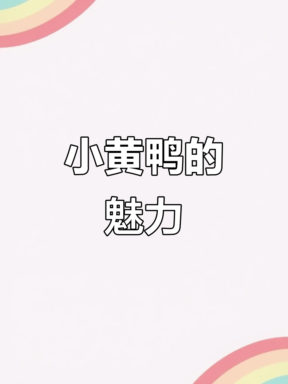 柯尔鸭:雪白可爱,走路摔跤也能萌翻天