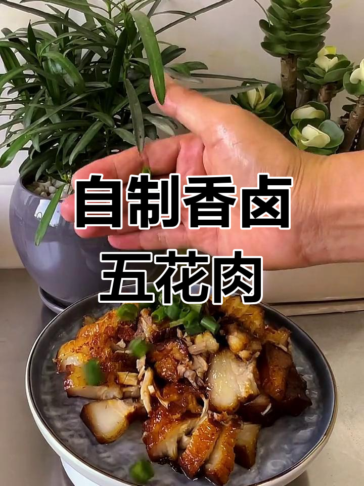 卤五花肉,香气扑鼻、入口即化