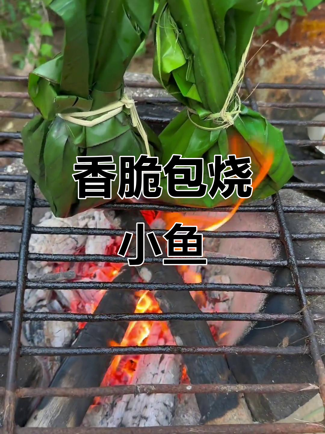 西双版纳包烧小河鱼,香气扑鼻让人无法抗拒