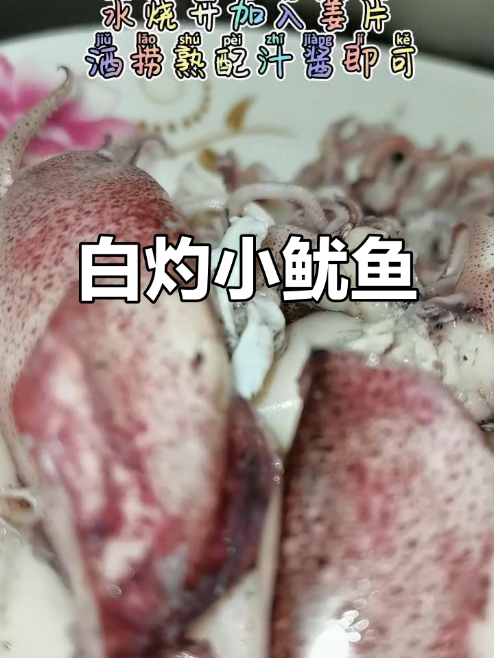 活的小鱿鱼,透明又可爱!白灼小管超美味