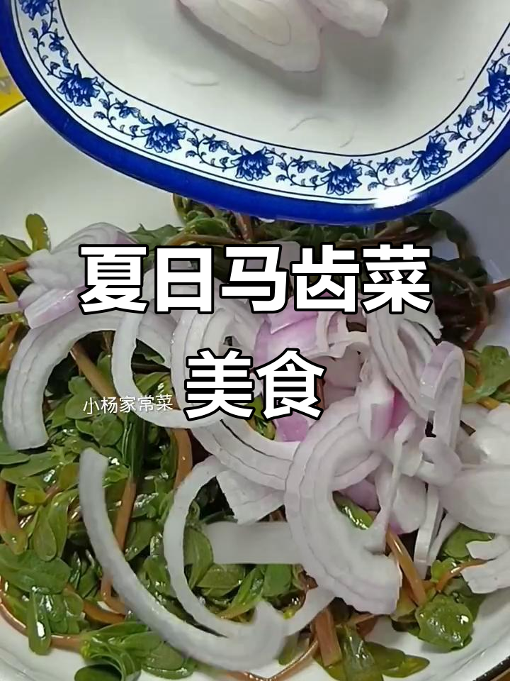 马齿菜新做法,简单又美味!夏季必吃长寿菜