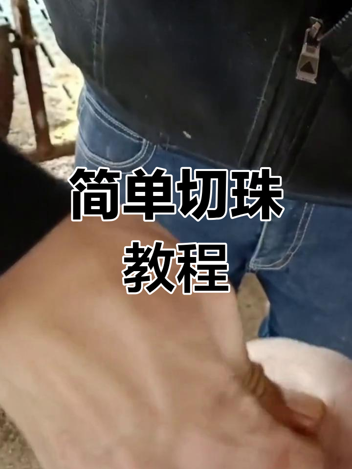猪睾丸提取技巧分享