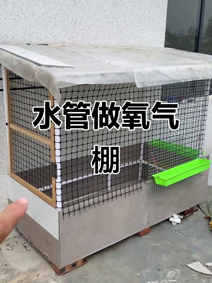 用水管打造鸡棚，发酵床设计超实用