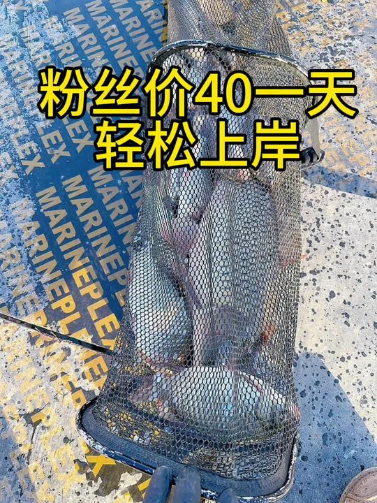 40钓费5元红虫,轻松上岸!视频最后有鱼塘讲解钓鱼技巧徐州钓场大板鲫