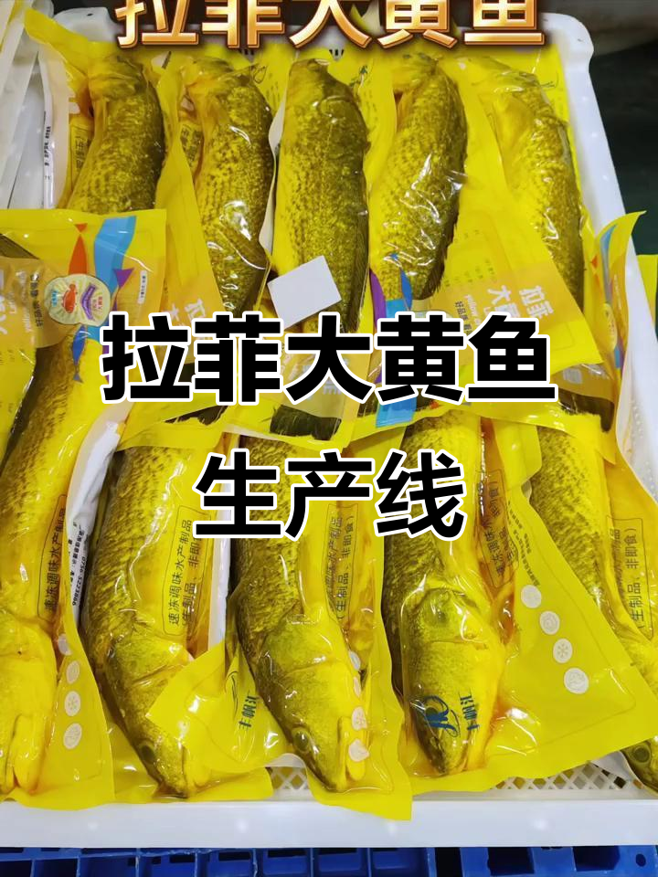 珠海龙头水产工厂揭秘,拉菲大黄鱼生产全过程展示