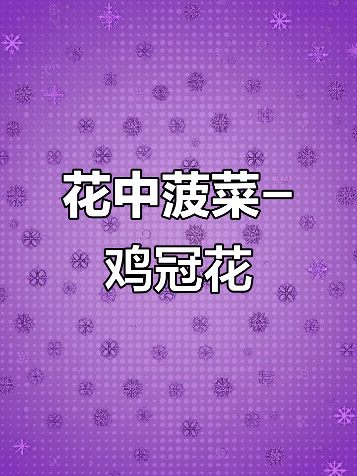 鸡冠花:既可观赏又可食用,药用价值高