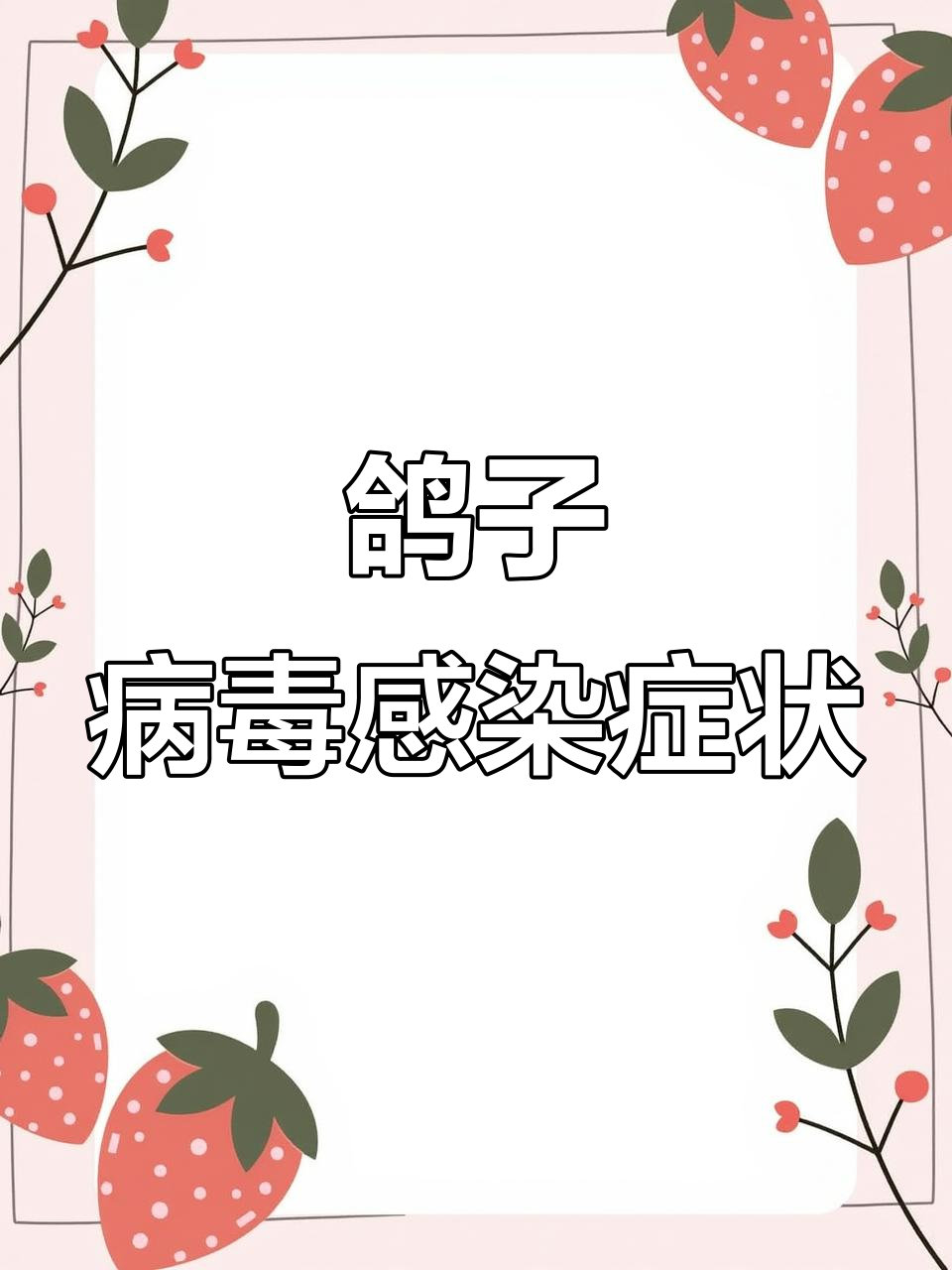鸽子圆环病毒引发积食、发烧,消化不良怎么办?