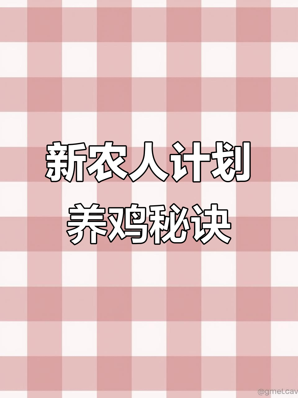 脱温鸡苗孵化技巧,新农人计划助力养殖业