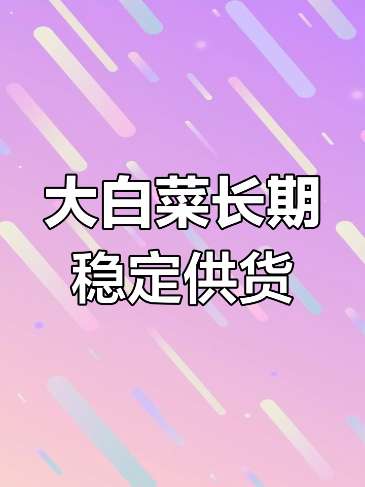全国农产品基地大白菜供应,欢迎批发商随时订购