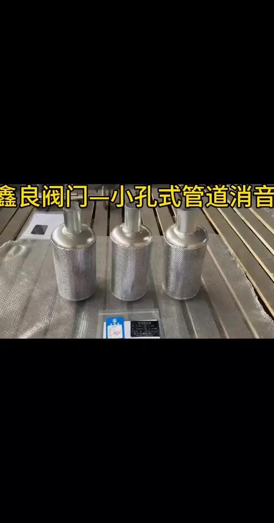 小孔式管道消音器 管道消音器 不锈钢冲孔网 蒸汽消音器